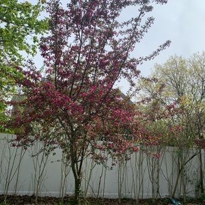 Meet your Posher, Sabah